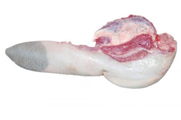 Frozen Beef Tongue - VIBRA AGROINDUSTRIAL SA